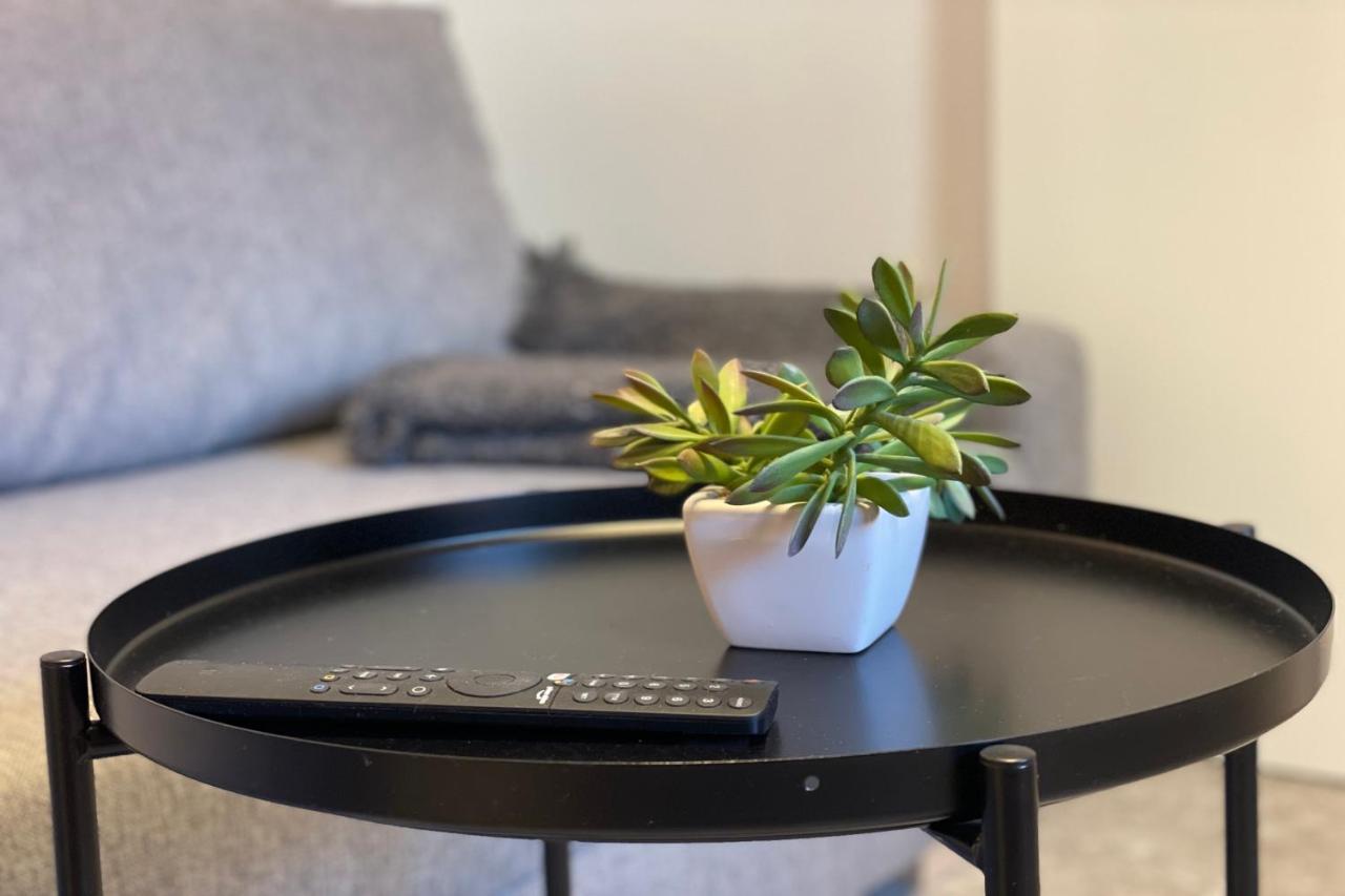 Apartamentos Mk77 Leon - Lahoz Dış mekan fotoğraf